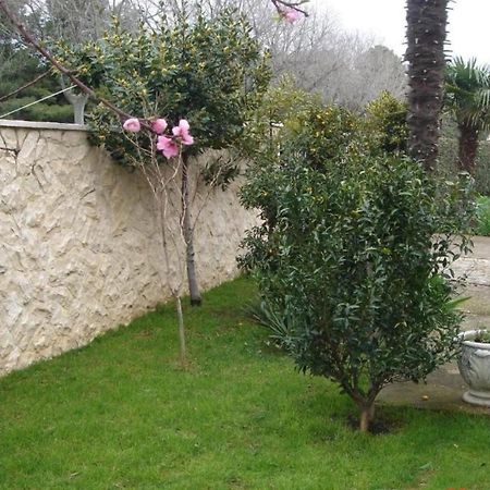 Apartments Aurora Borik Zadar Zewnętrze zdjęcie